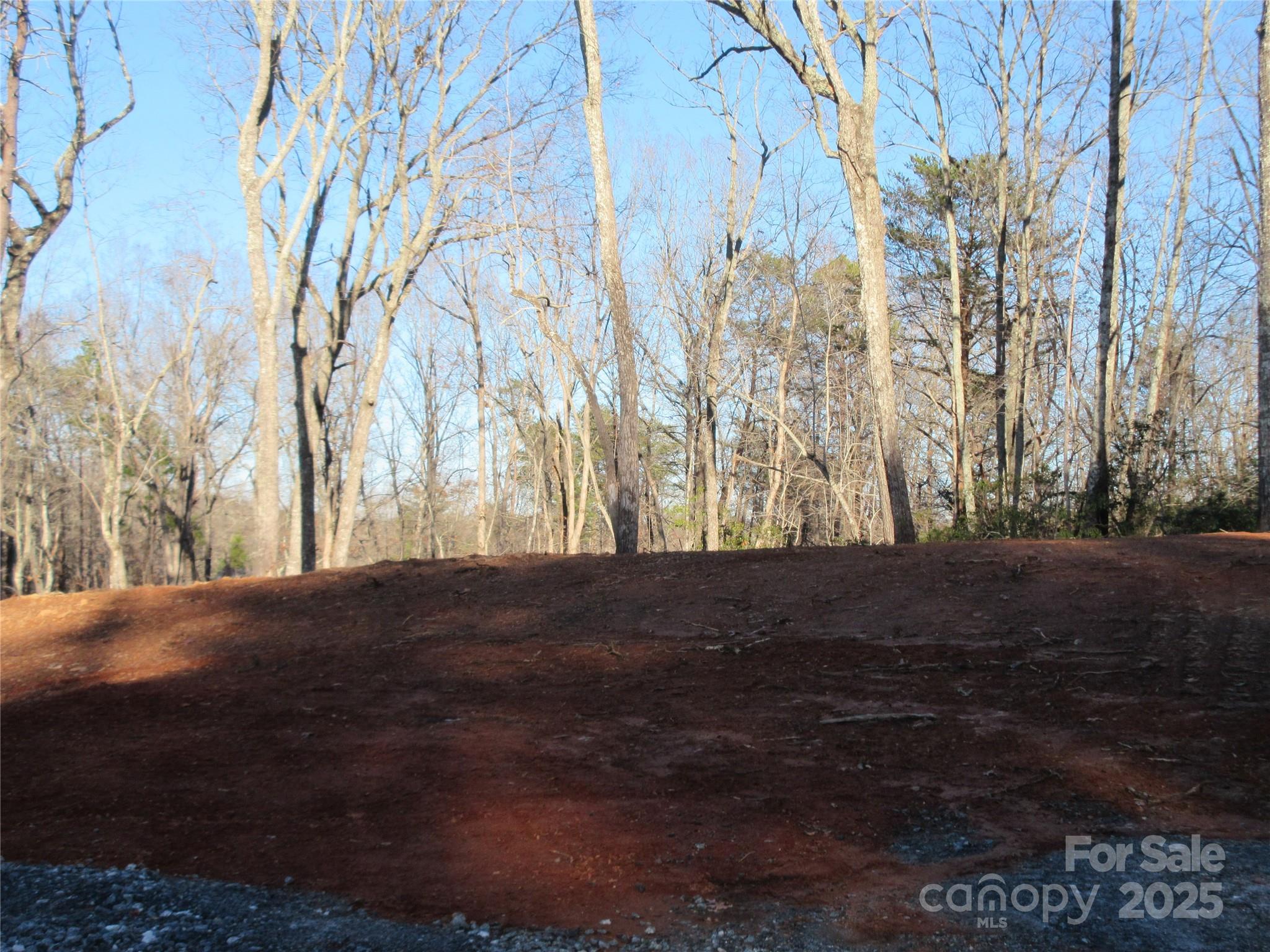 0 Levi Road Columbus, NC 28722 - Photo 20 of 48 a view of outdoor space and yard