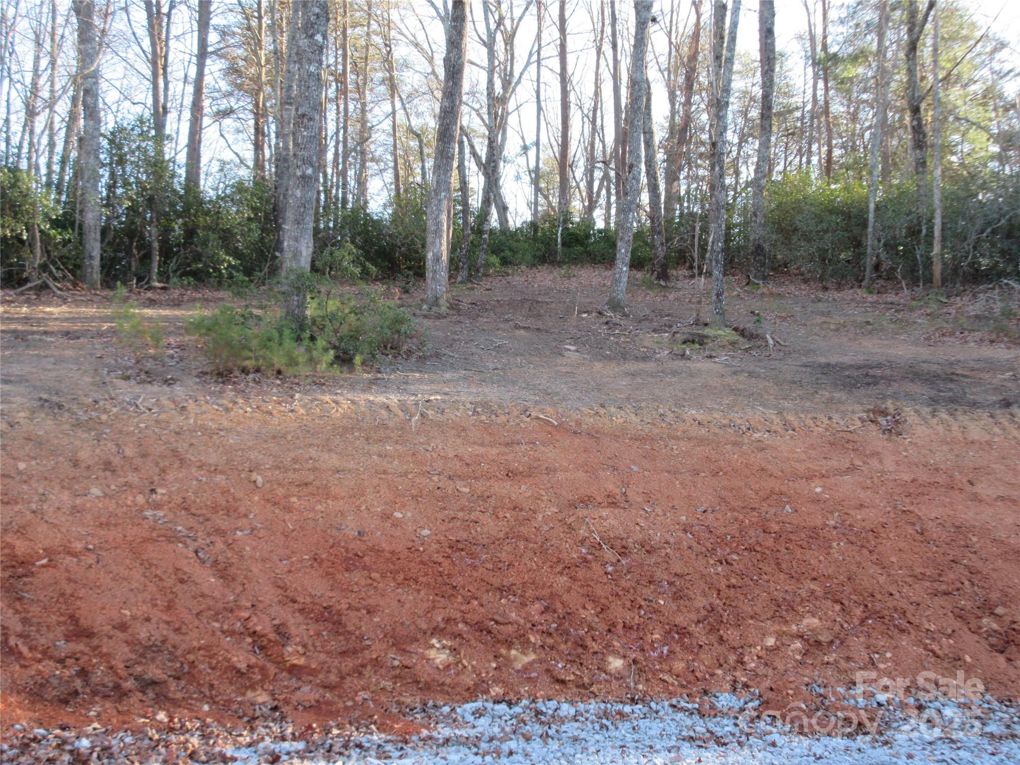 0 Levi Road Columbus, NC 28722 - Photo 22 of 48 a view of a forest with trees in the background
