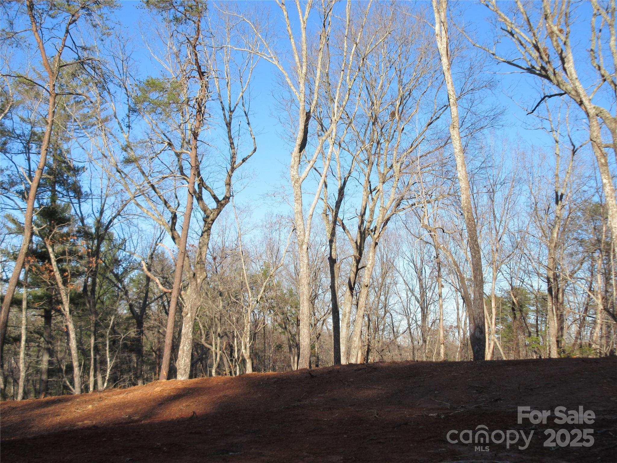 0 Levi Road Columbus, NC 28722 - Photo 23 of 48 a view of road and with trees