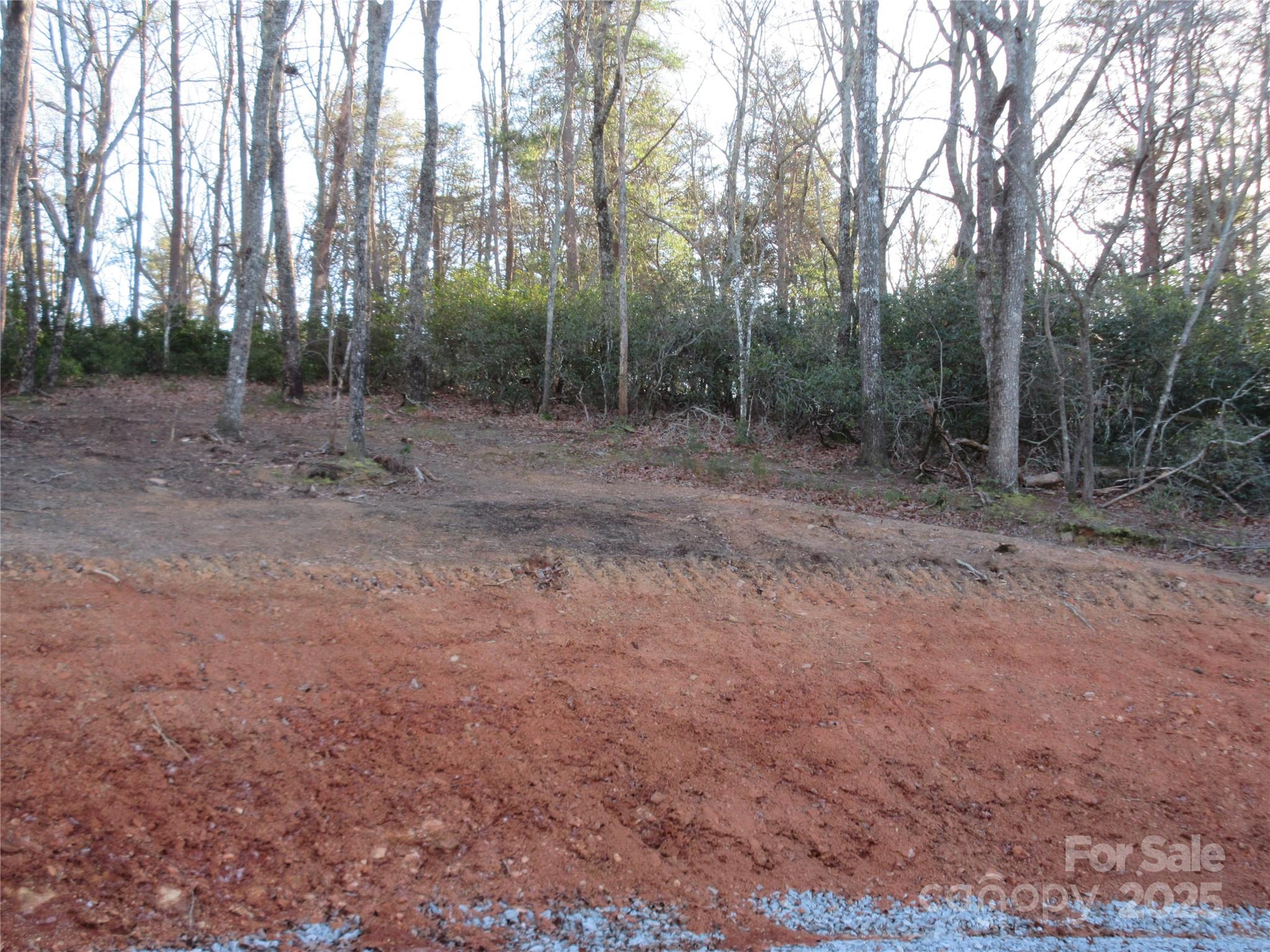 0 Levi Road Columbus, NC 28722 - Photo 24 of 48 a view of a forest with trees in the background