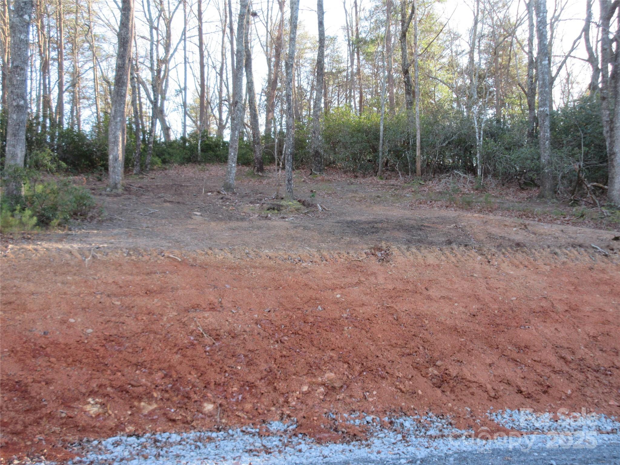 0 Levi Road Columbus, NC 28722 - Photo 25 of 48 a view of a forest with trees in the background