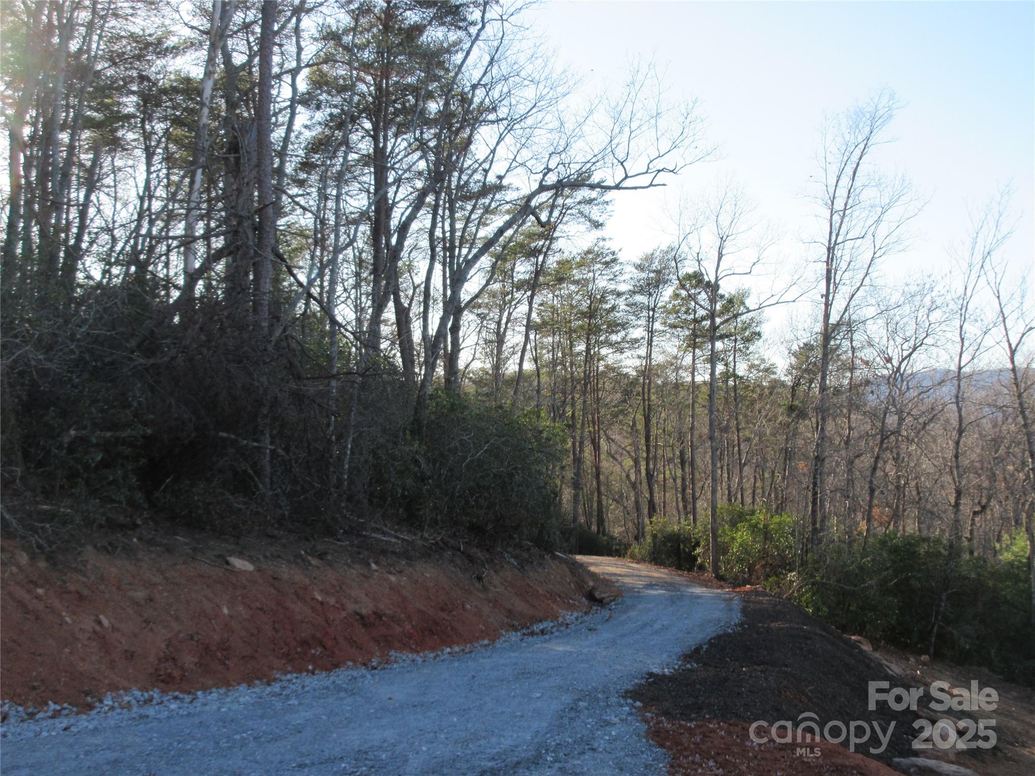 0 Levi Road Columbus, NC 28722 - Photo 26 of 48