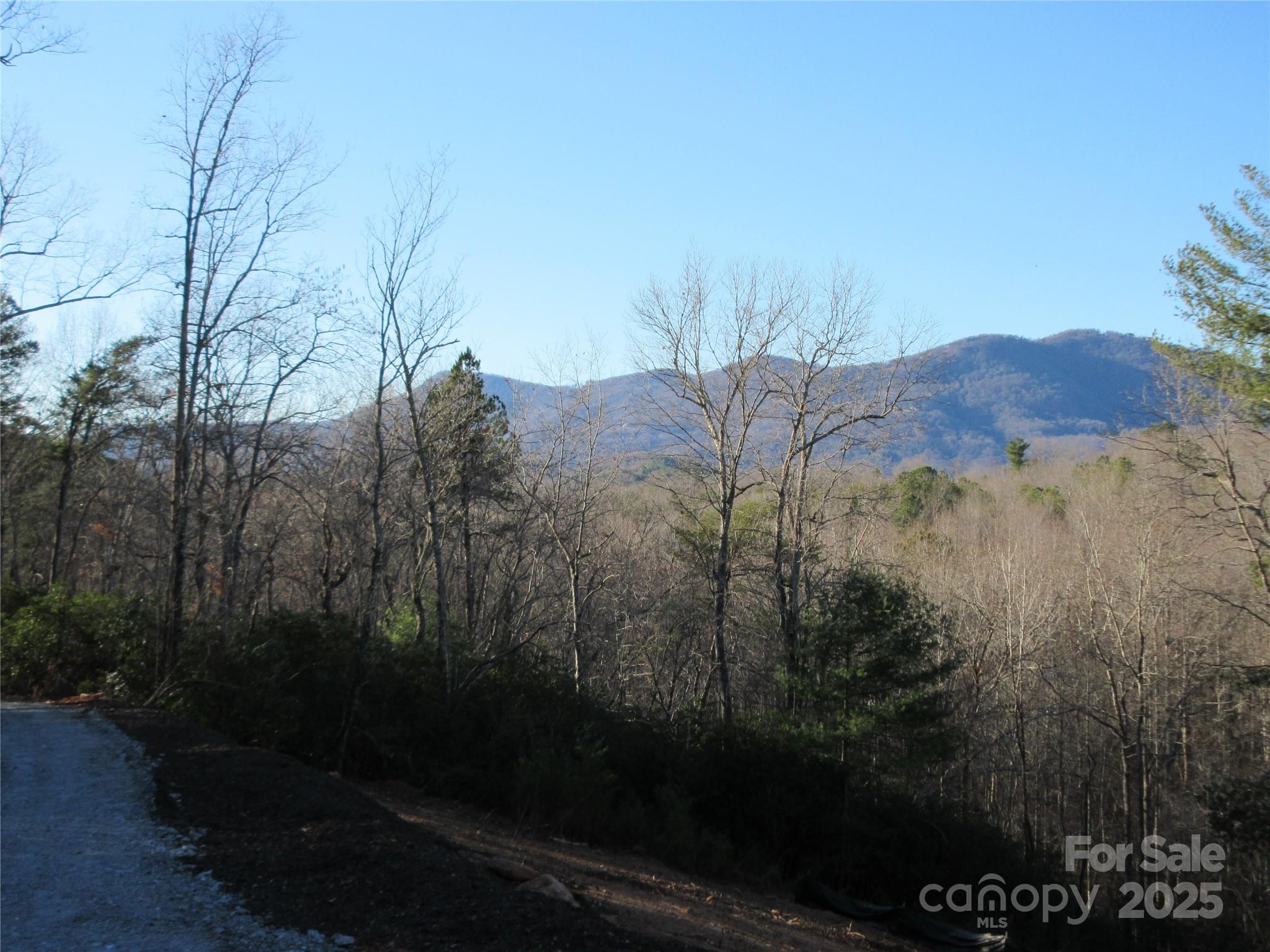 0 Levi Road Columbus, NC 28722 - Photo 28 of 48 a view of a house with a yard