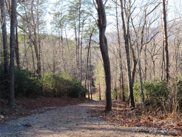 a view of dirt field with large trees