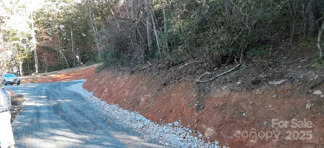 a view of a yard with large trees