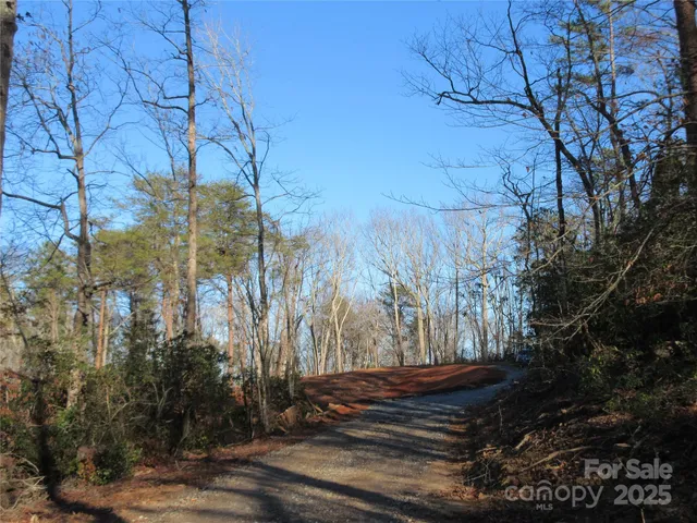 a view of backyard with tree