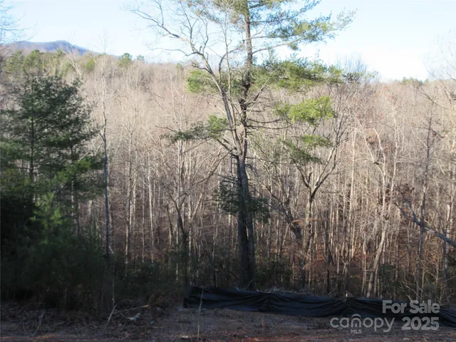 a view of outdoor space with trees