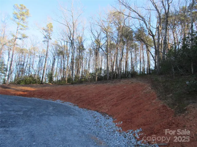a view of a backyard of a house with a street