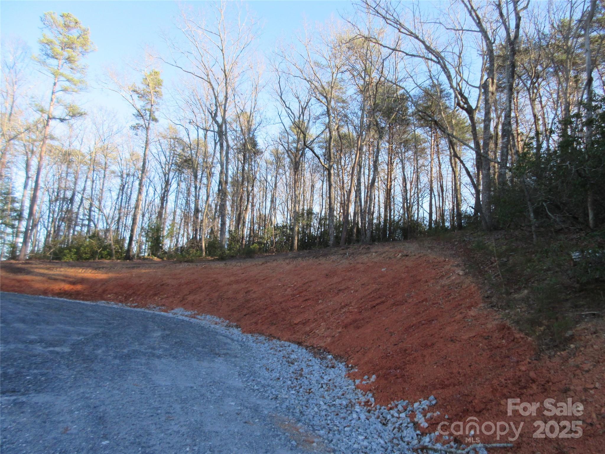 0 Levi Road Columbus, NC 28722 - Photo 39 of 48 a view of outdoor space with trees
