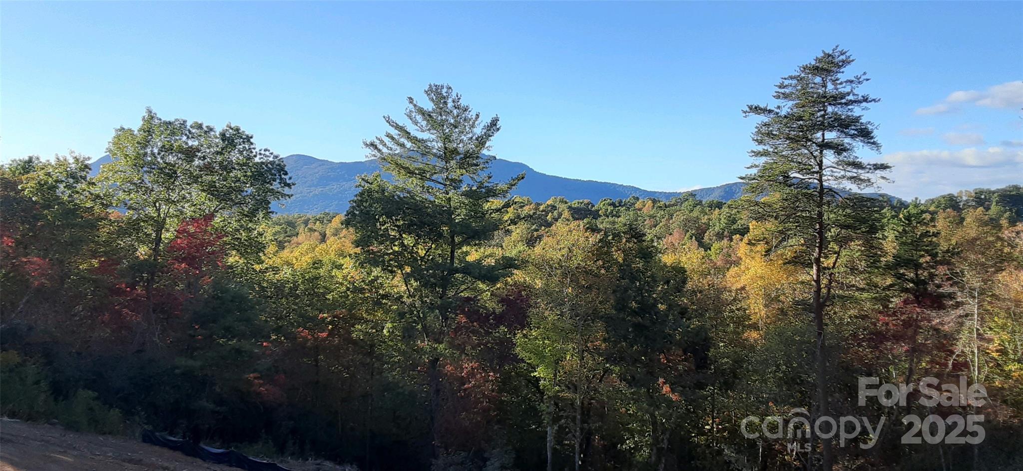 0 Levi Road Columbus, NC 28722 - Photo 4 of 48 a view of a house with a forest