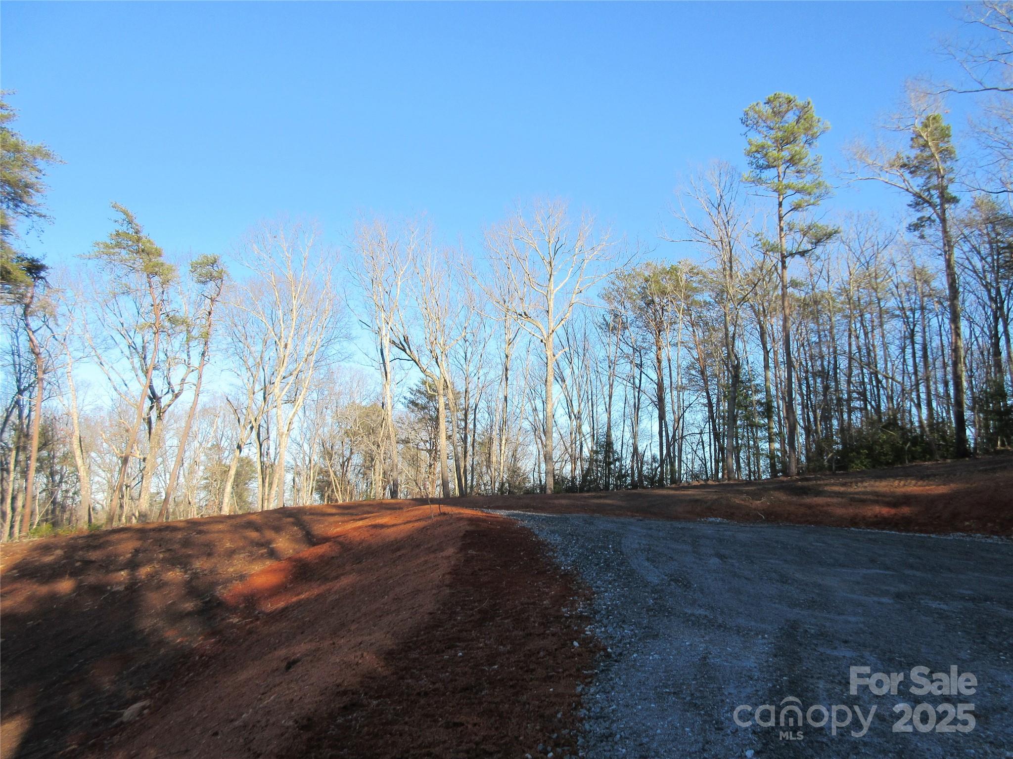0 Levi Road Columbus, NC 28722 - Photo 41 of 48 a view of outdoor space with deck and yard