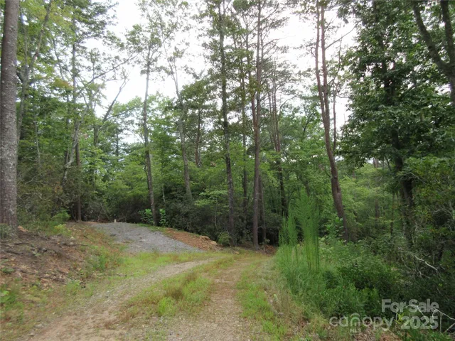 $265,000 | 0 Levi Road, Columbus, NC 28722