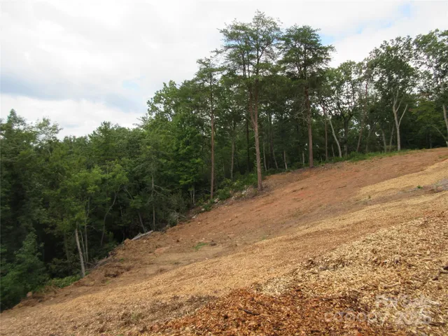 $265,000 | 0 Levi Road, Columbus, NC 28722