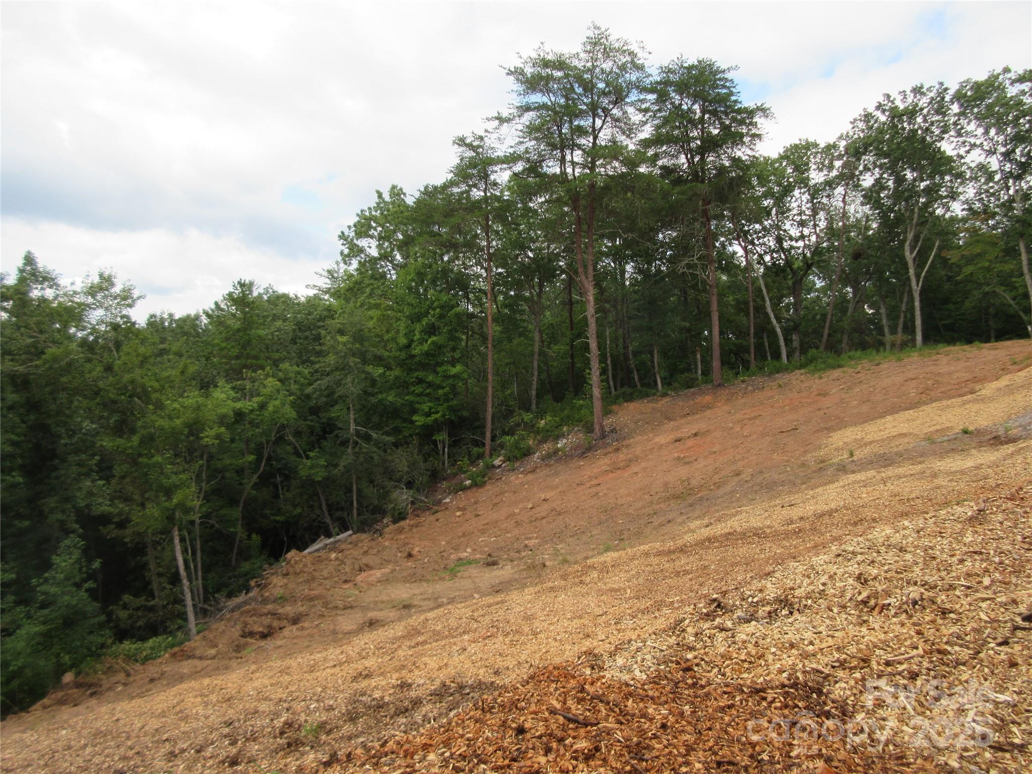 0 Levi Road Columbus, NC 28722 - Photo 47 of 48 a backyard of a house with lots of green space