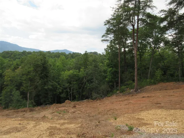 $265,000 | 0 Levi Road, Columbus, NC 28722