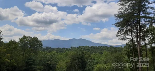 a view of a city and mountain view
