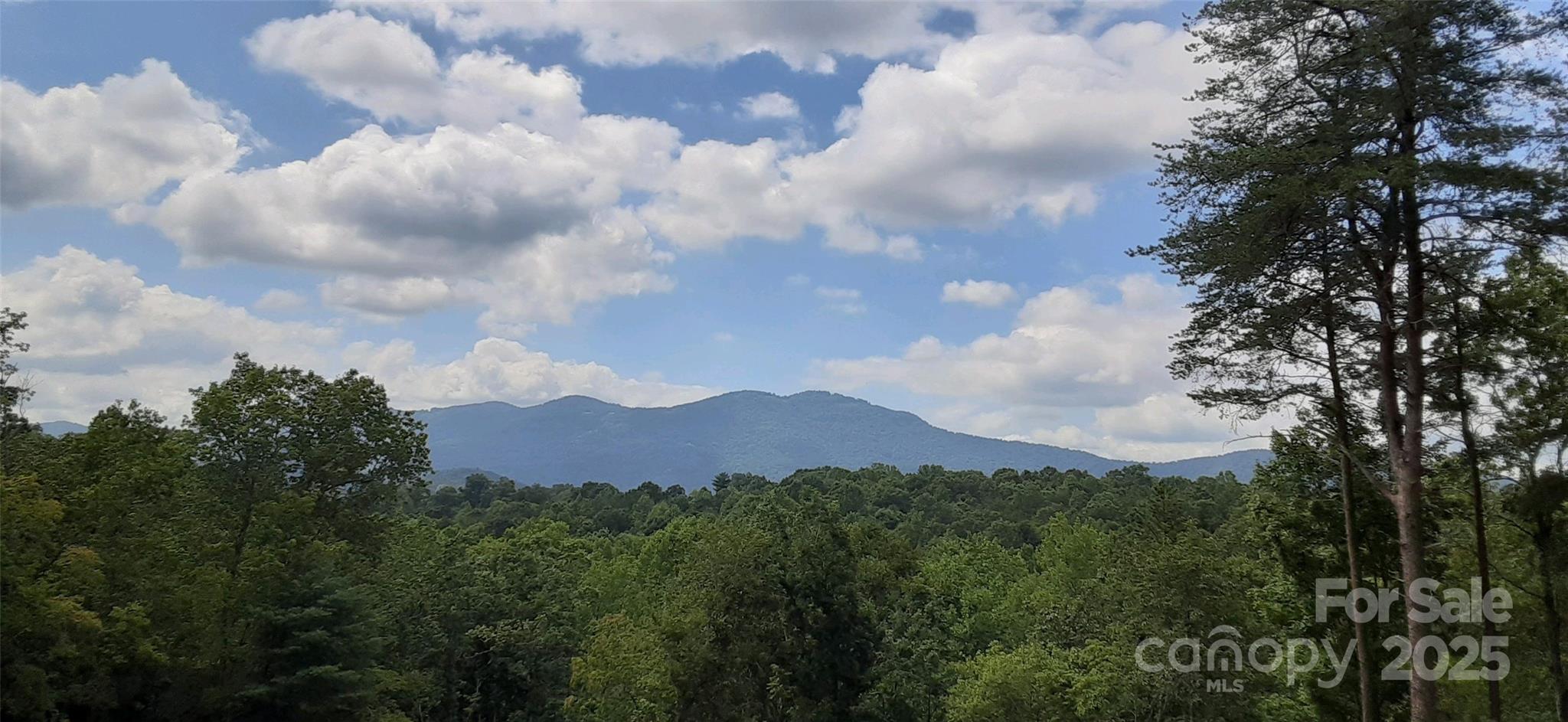 0 Levi Road Columbus, NC 28722 - Photo 5 of 48 a view of a city and mountain view