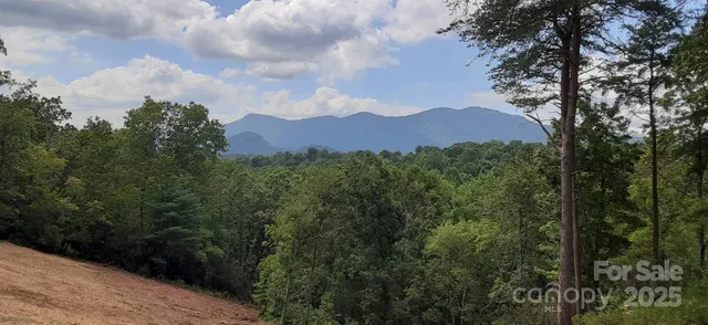 a view of a city with lush green forest