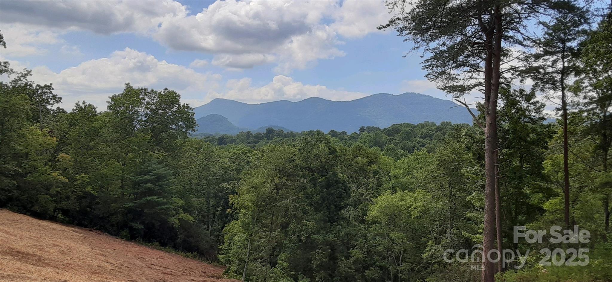 0 Levi Road Columbus, NC 28722 - Photo 6 of 48 a view of a city with lush green forest