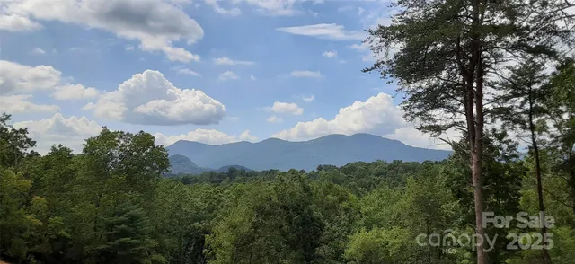 a view of a house with a yard and a large tree