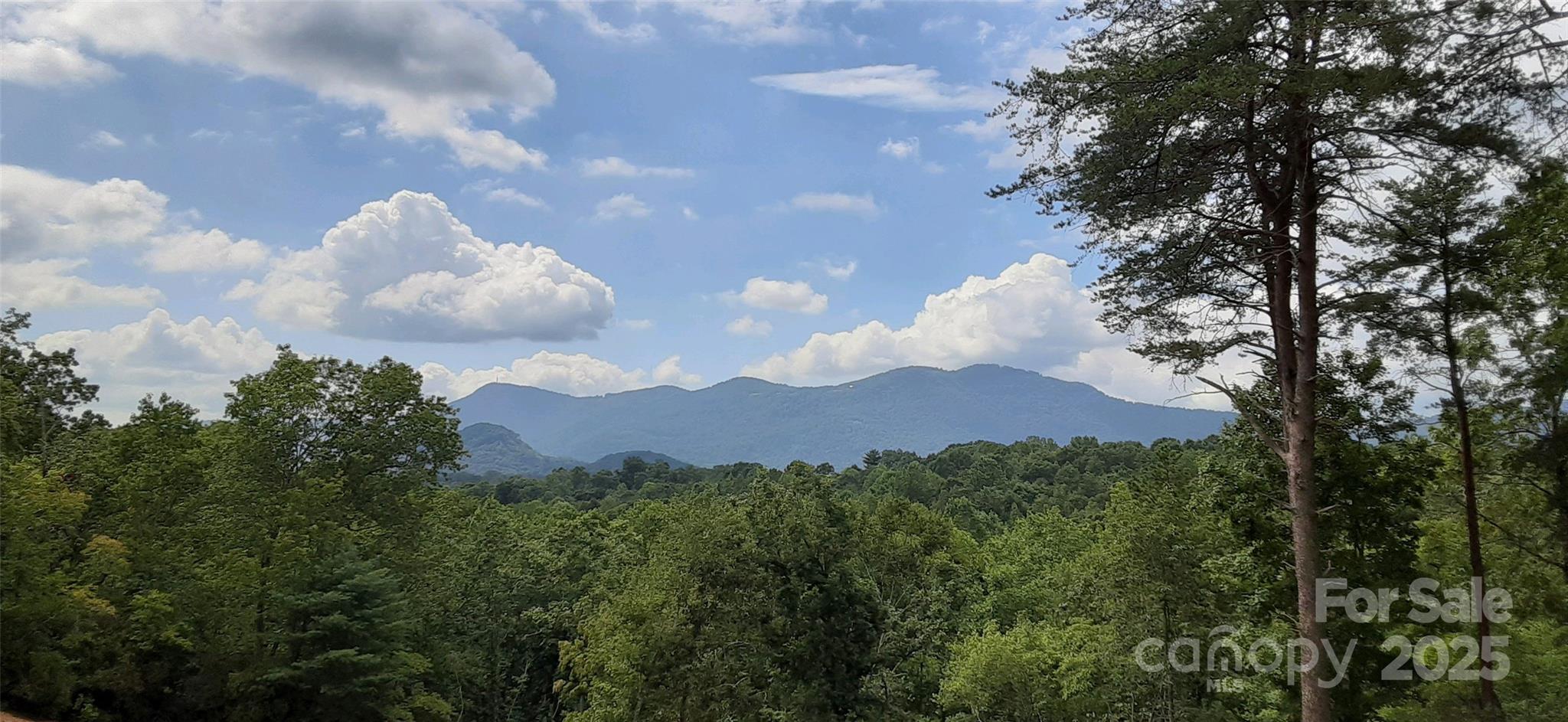 0 Levi Road Columbus, NC 28722 - Photo 8 of 48 a view of a house with a yard and a large tree