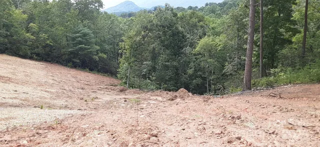 a view of a snow in a yard with trees