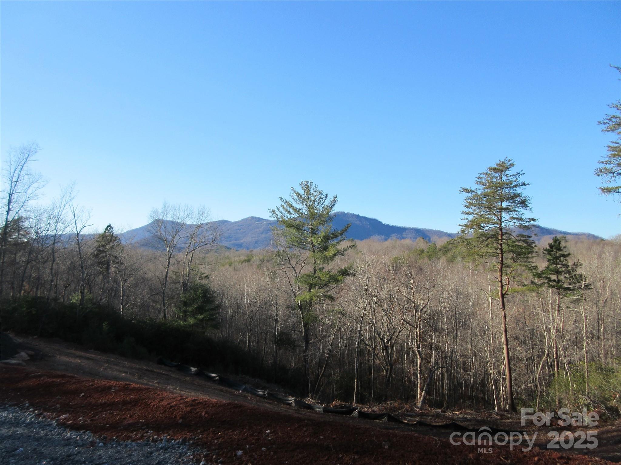 0 Levi Road Columbus, NC 28722 - Photo 10 of 48 a view of a city with a mountain in the background