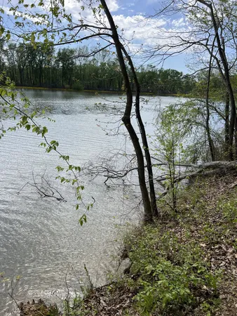 a view of backyard with green space