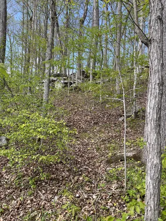 a backyard of a house with lots of green space and a fountain