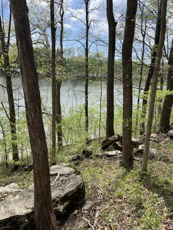 a view of a backyard of the house
