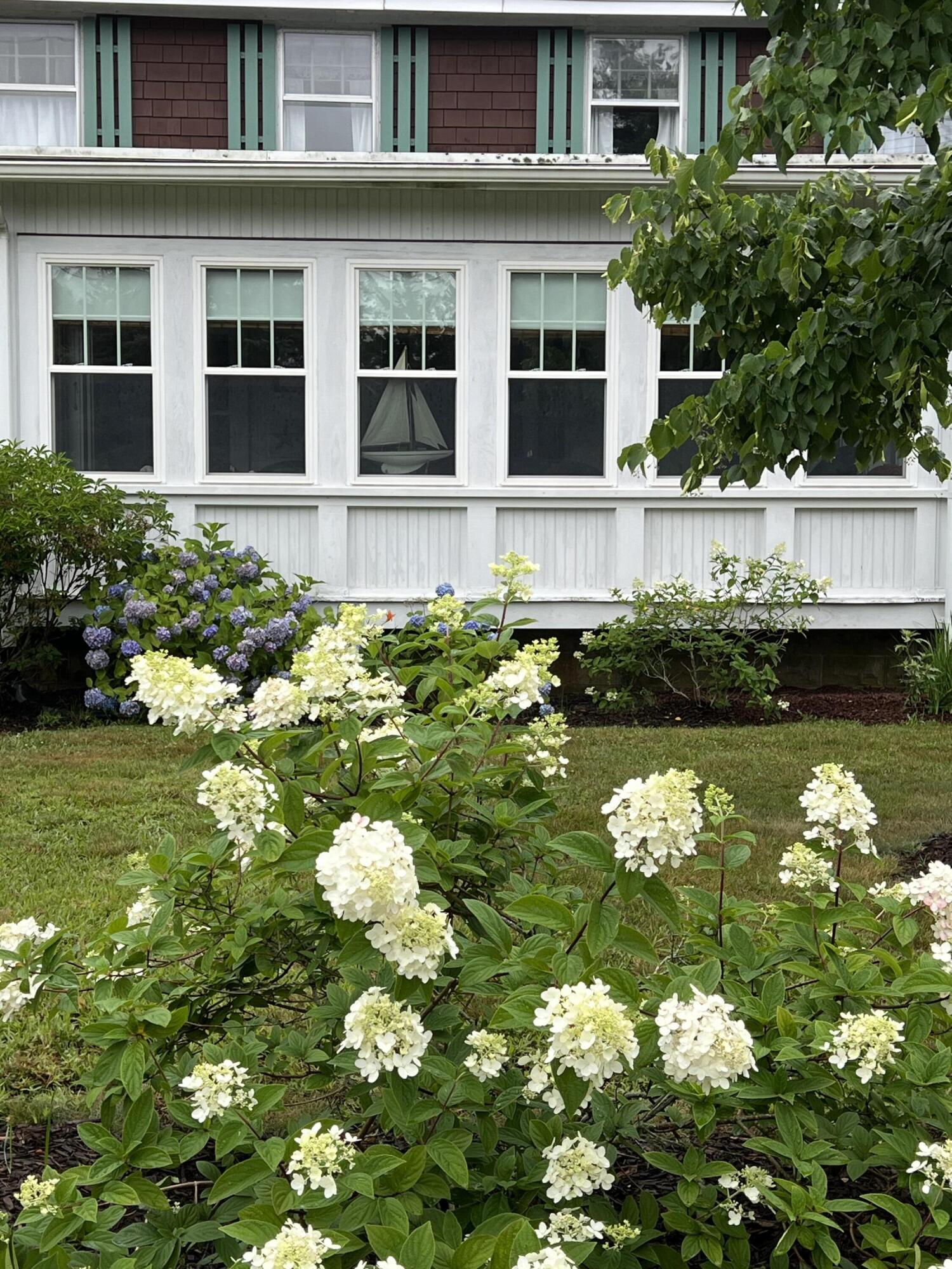 34 Kenwood Road Pocasset, MA 02559 - Photo 84 of 95 IMG_1400