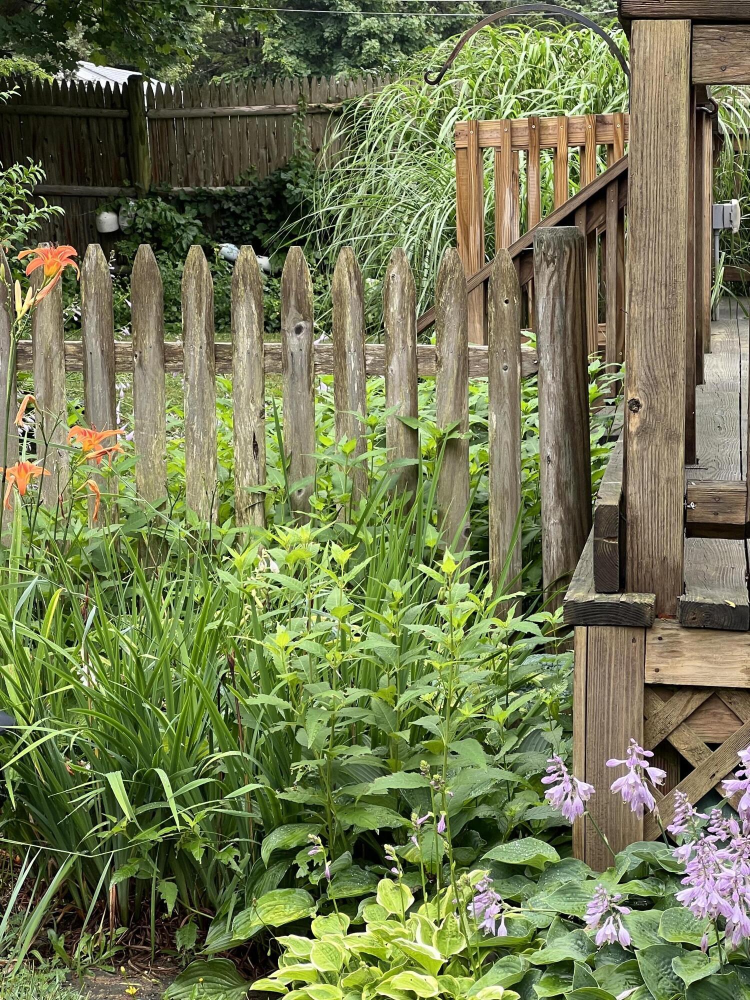 34 Kenwood Road Pocasset, MA 02559 - Photo 86 of 95 IMG_1412