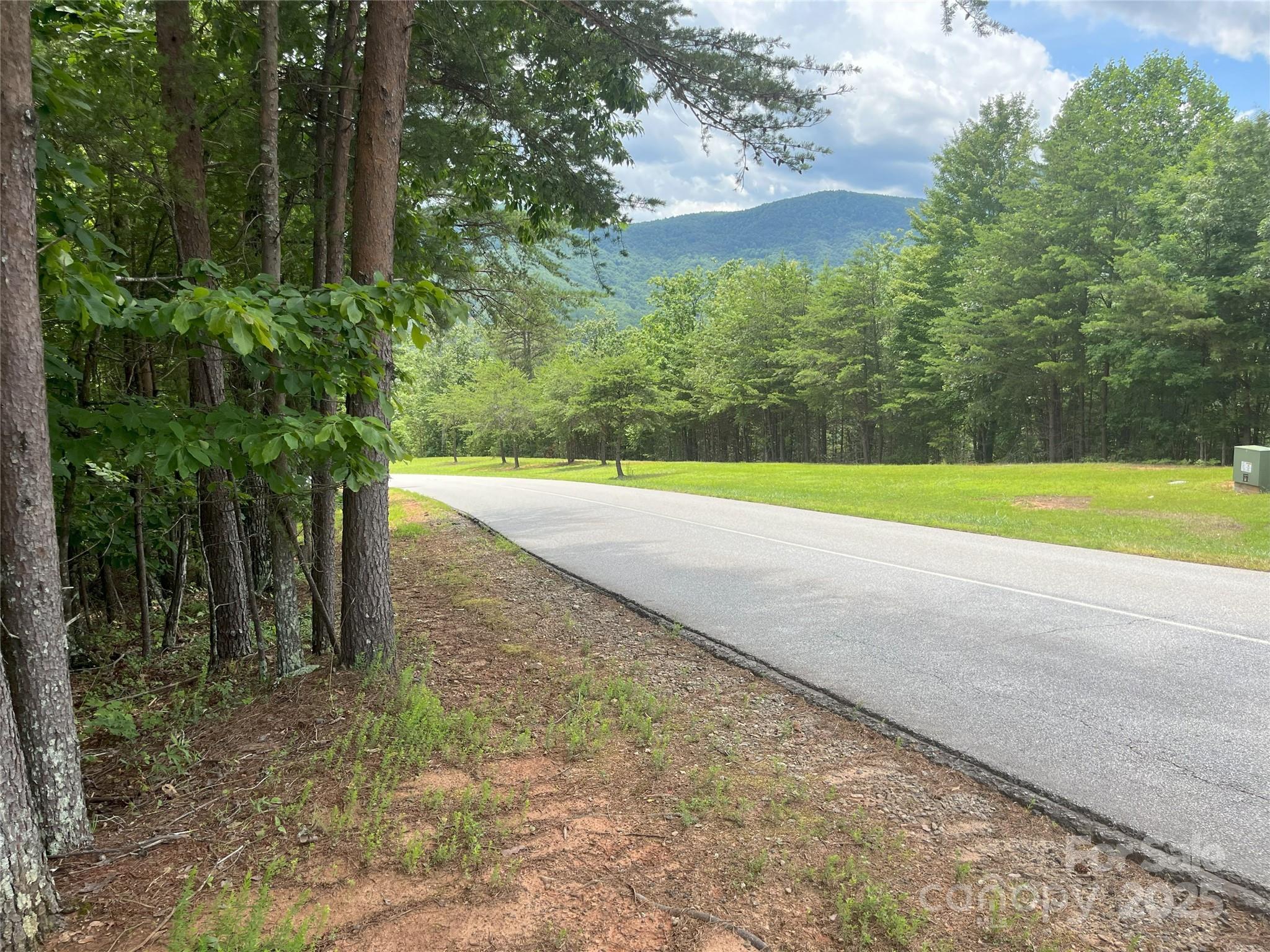 0 Deep Gap Rd Mill Spring East, Unit 59 Mill Spring, NC 28756 - Photo 2 of 25