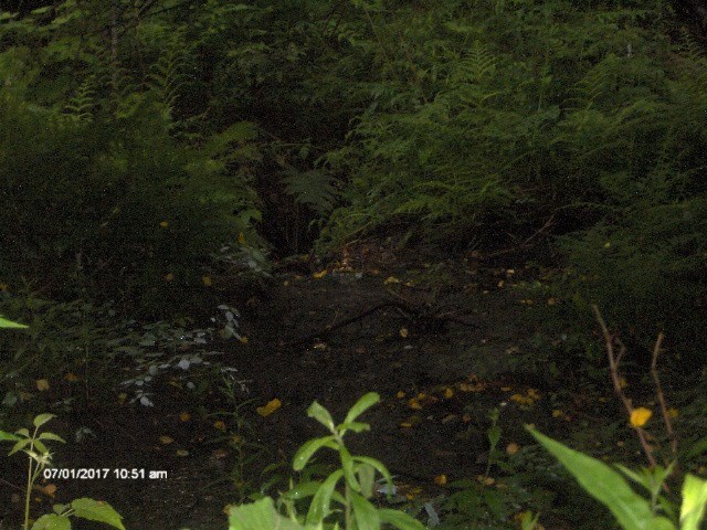 1574 Taylor Hill Road Brookfield, VT 05036 - Photo 12 of 19 Gallery Image 12
