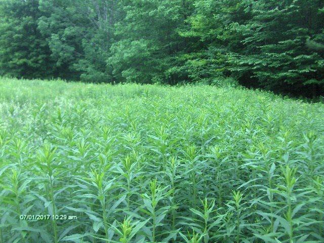 1574 Taylor Hill Road Brookfield, VT 05036 - Photo 13 of 19 Gallery Image 13