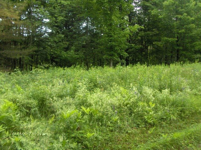 1574 Taylor Hill Road Brookfield, VT 05036 - Photo 14 of 19 Gallery Image 14