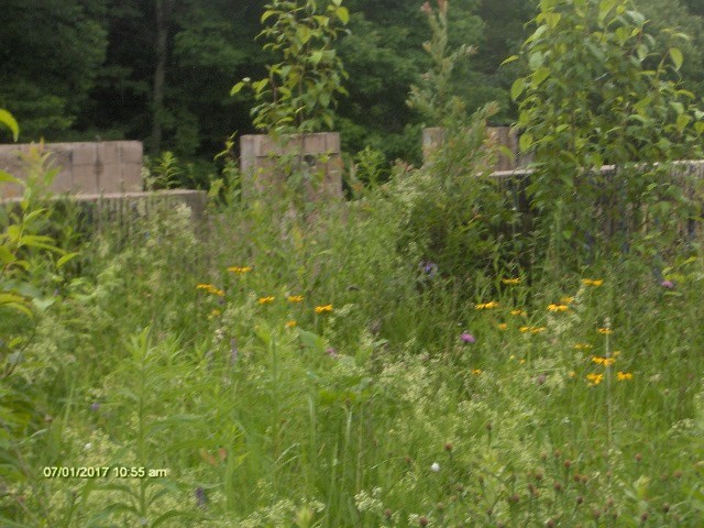 1574 Taylor Hill Road Brookfield, VT 05036 - Photo 15 of 19 Gallery Image 15