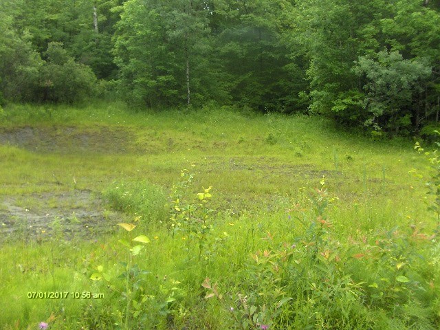 1574 Taylor Hill Road Brookfield, VT 05036 - Photo 18 of 19 Gallery Image 18