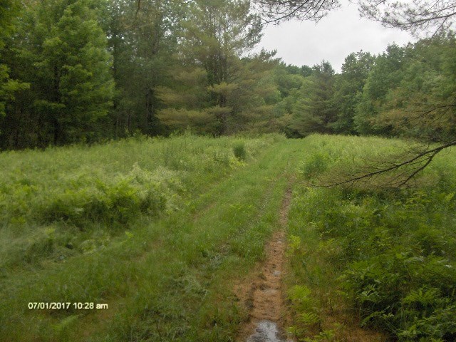 1574 Taylor Hill Road Brookfield, VT 05036 - Photo 10 of 19 Gallery Image 10