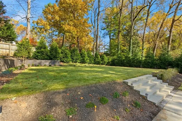a view of a patio with table and chairs and potted plants and large trees