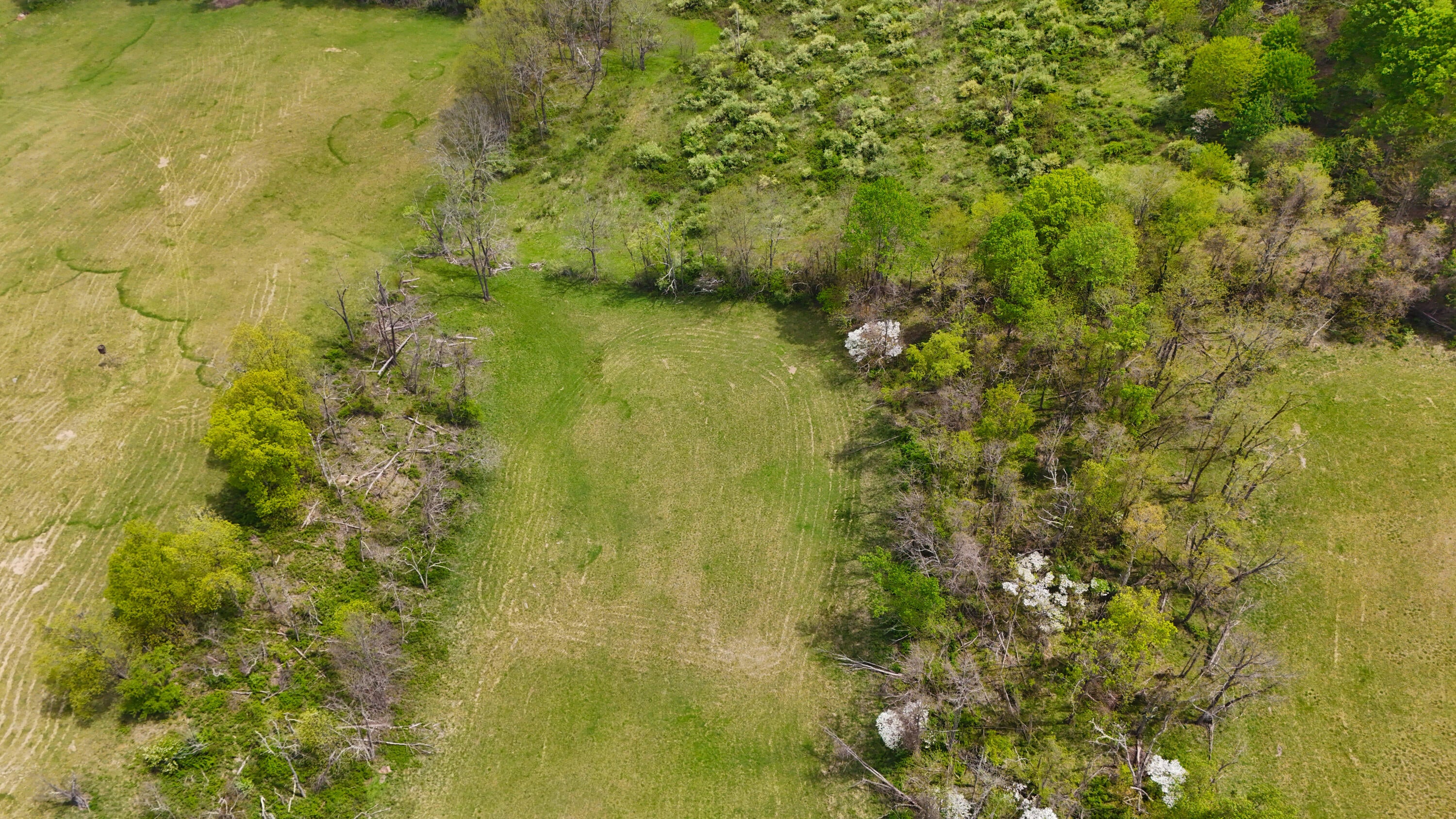 Buster Brown Road Union, WV 24983 - Photo 25 of 42 Gallery Image 25