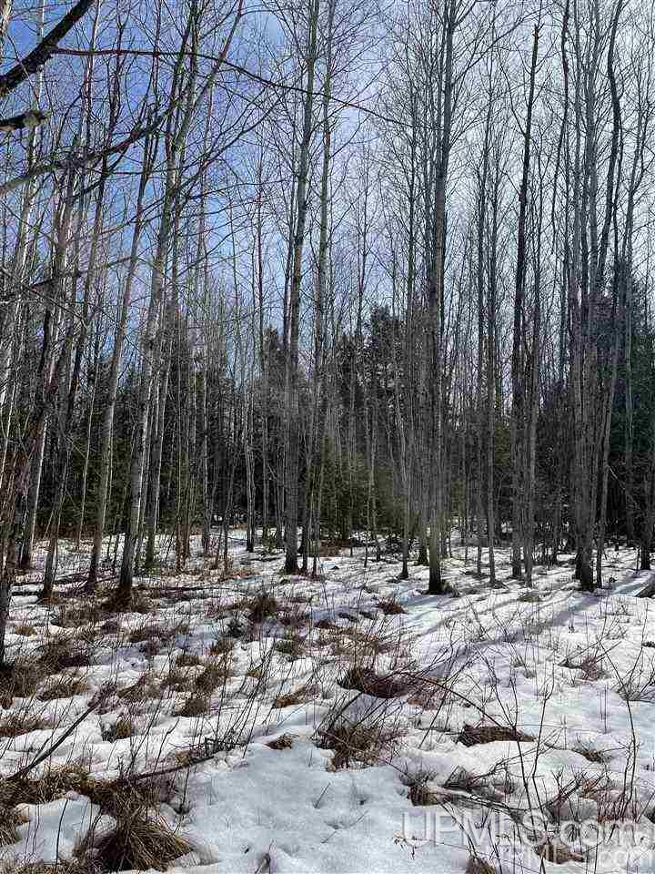 Tbd Tbd Co Road, Unit 1 Marquette, MI 49855 - Photo 34 of 50