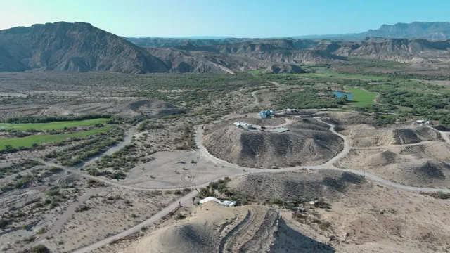 a view of a backyard with large trees