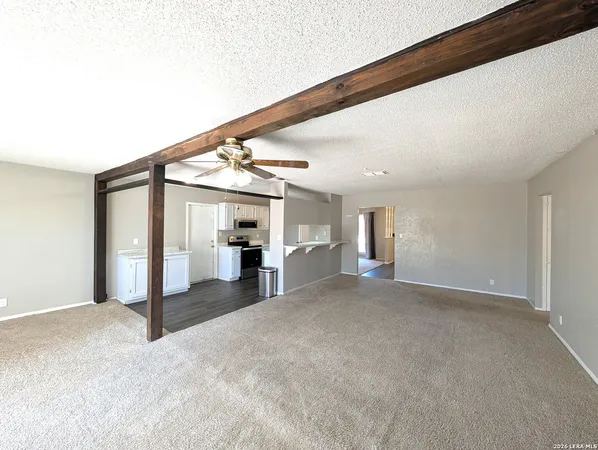 a view of a big room with closet and windows