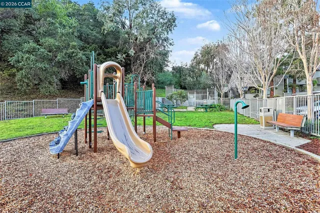 a park with slide