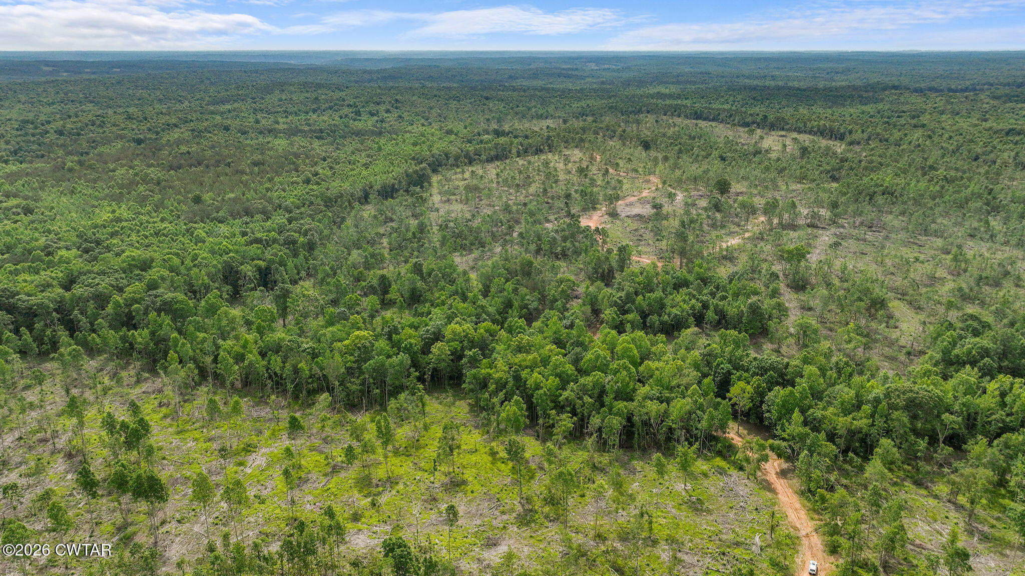 0 Wynn Road Big Sandy, TN 38221 - Photo 21 of 28 19-web-or-mls-DJI_0075