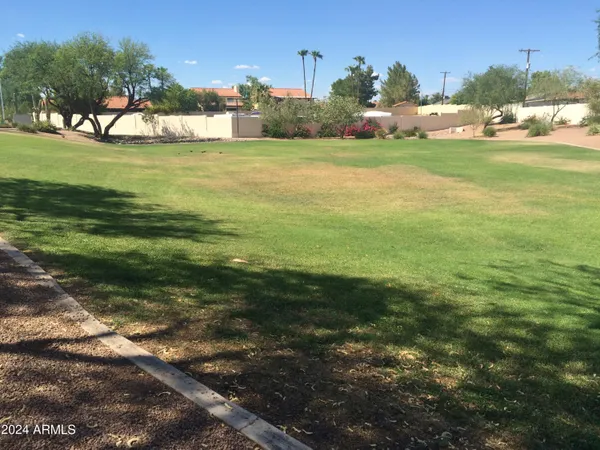 a view of yard with tree s
