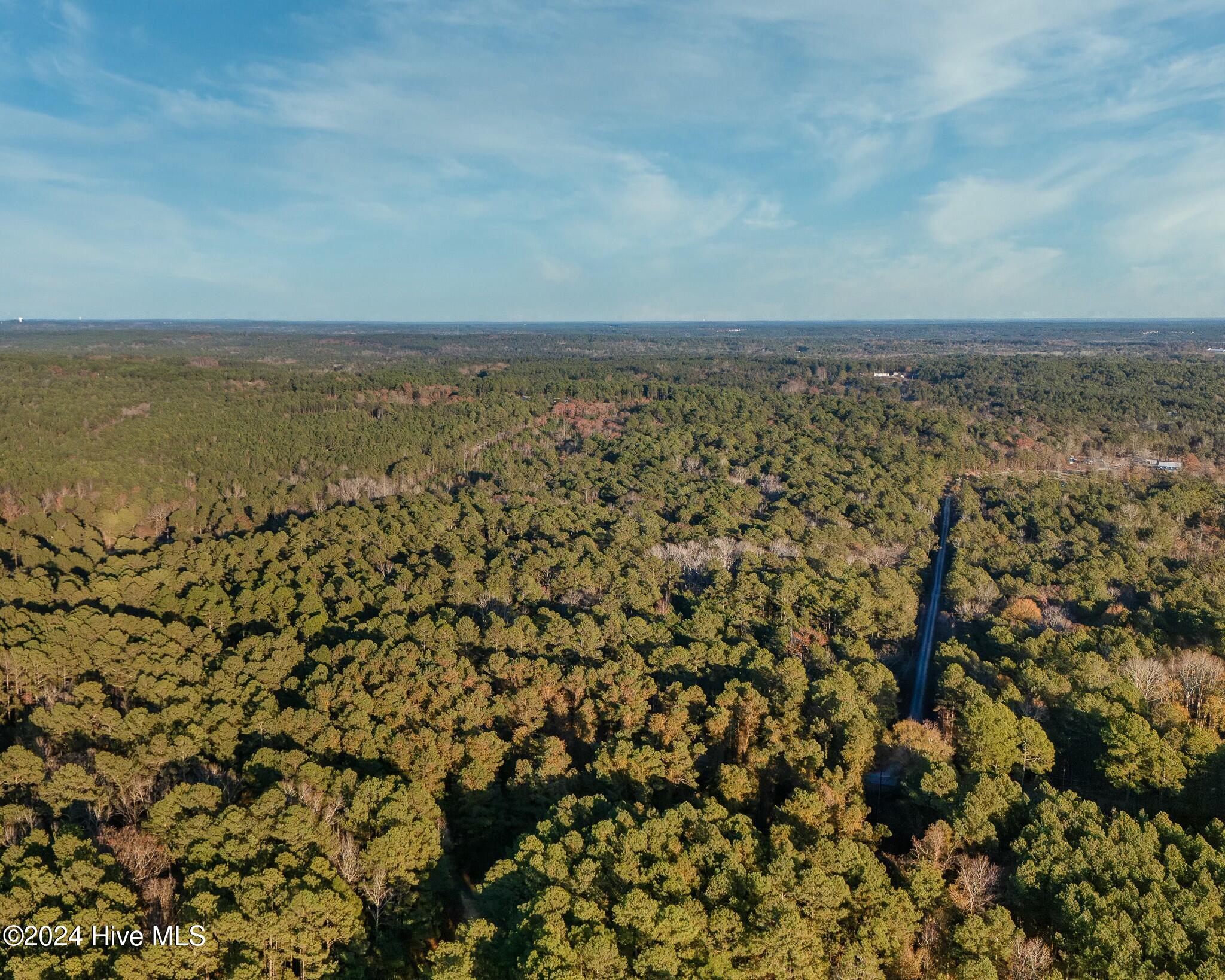 Lot 1 McGill Road Cameron, NC 28326 - Photo 3 of 7 tempImageAsdc27