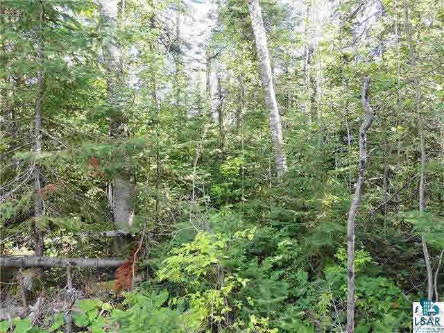 Lot 10 Roman's Road Grand Marais, MN 55604 - Photo 11 of 14 Gallery Image 11