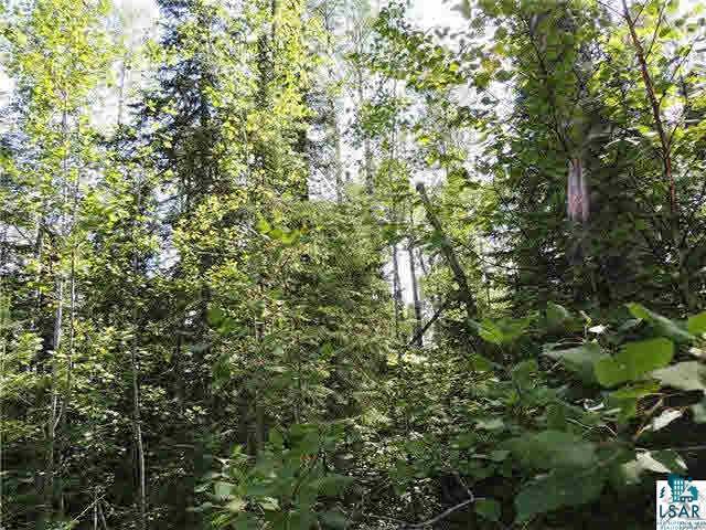 Lot 10 Roman's Road Grand Marais, MN 55604 - Photo 12 of 14 Gallery Image 12